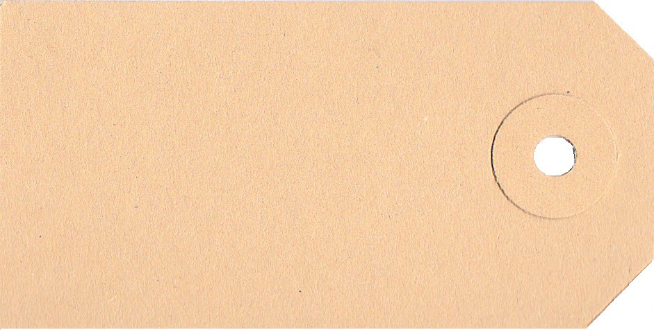 Karton-Anhänger Gr. 60 x 120 mm